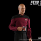 Illustration for article titled Captain Picard Collectible Figure Is Big, Bald, and Beautiful
